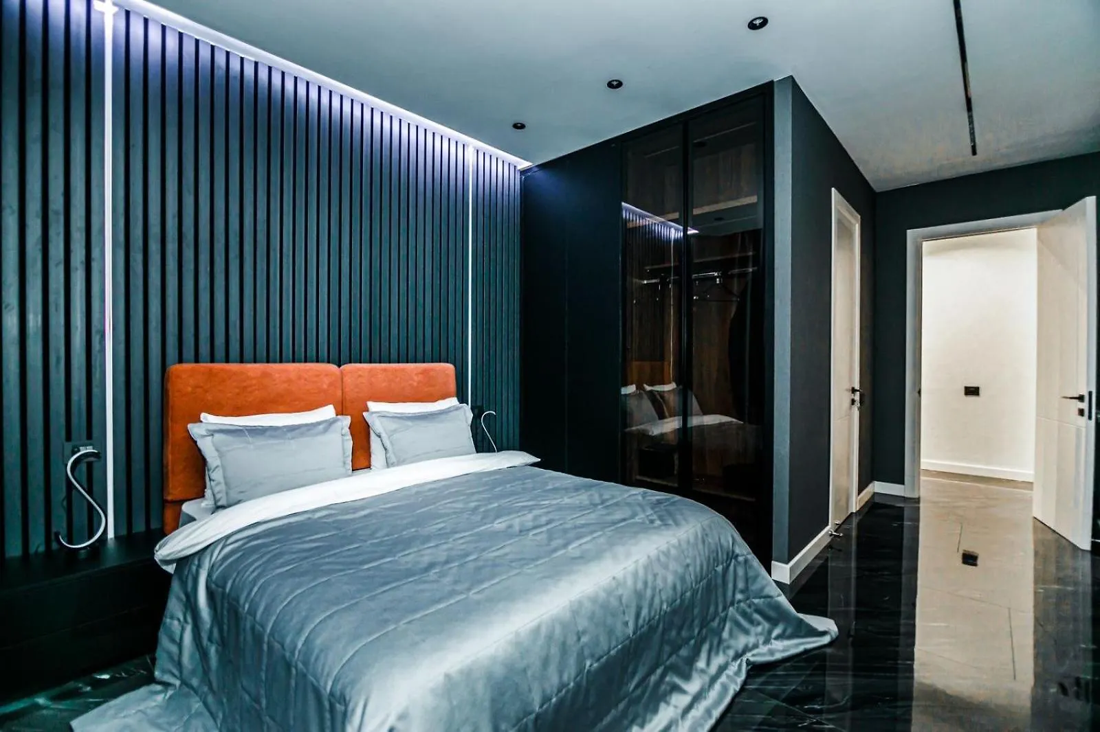 Amazing Apartment Center Vip Nizami 巴库